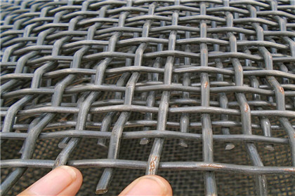 8mesh Crimped Stainless Steel Woven Wire Mesh 5m X 1.5m