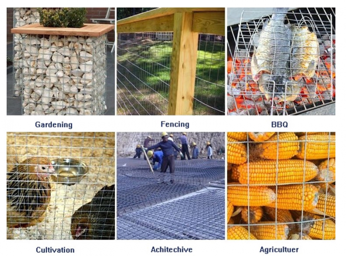 grillage soudé large d'acier inoxydable de pouce 1m de 0.9mm 1/2 1